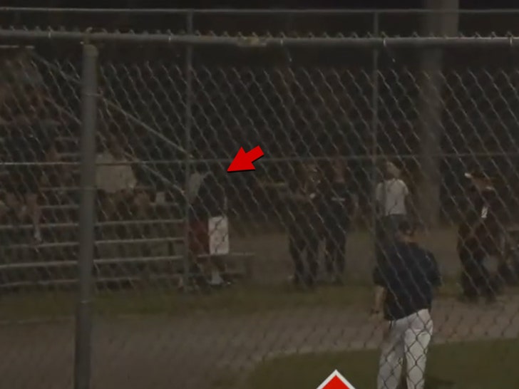 youth-baseball-fight-brawl-heckler-1