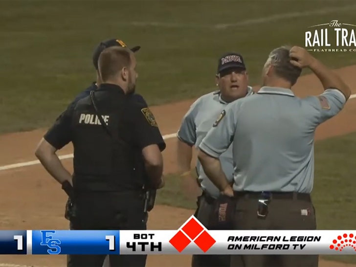 youth_baseball_fight_police_v2