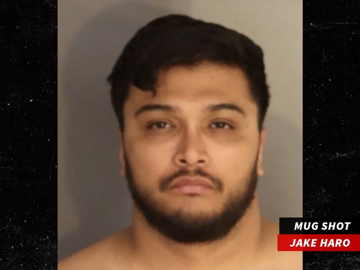 jake haro mug shot The San Bernardino County Sheriff’s Department 2