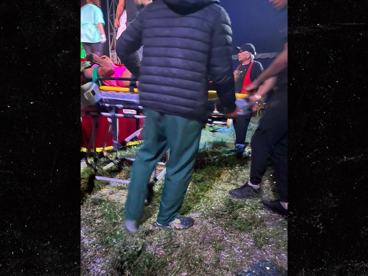 Circus performer crashes to ground in front of stunned spectators during hair hanging act jampress 2