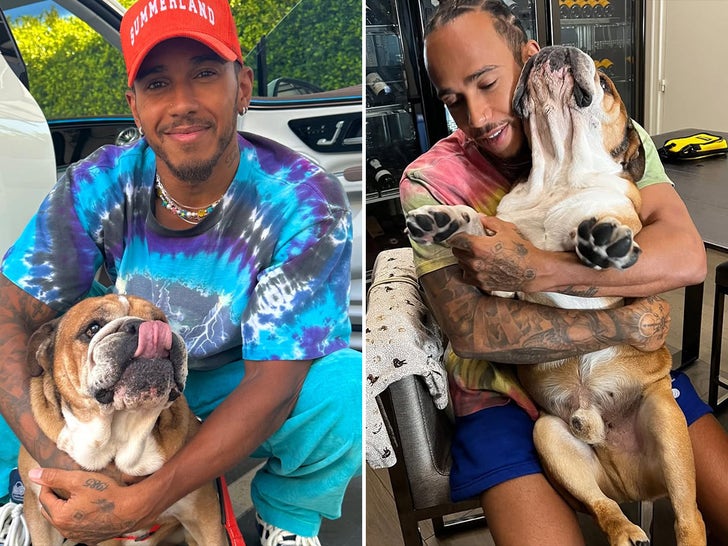 Lewis Hamilton And His Dog Roscoe