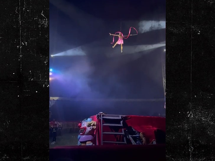 Circus performer
