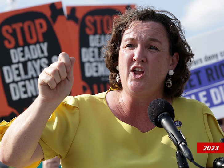 katie porter sub getty swipe