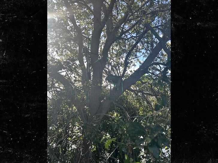 tree hunting stand fbi secret service