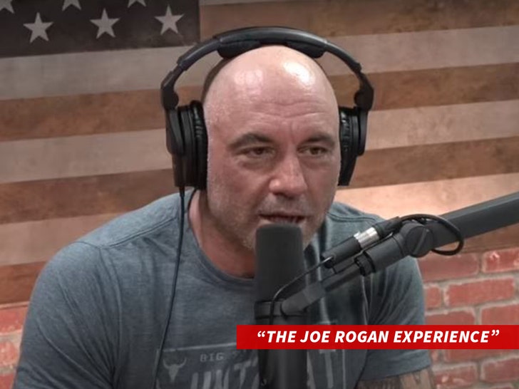 The Joe Rogan Experience