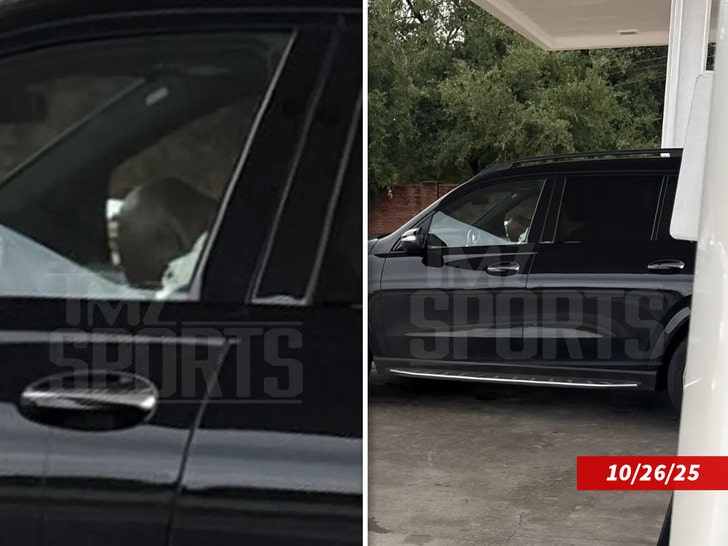 Adrian-Peterson-tmzsports-2