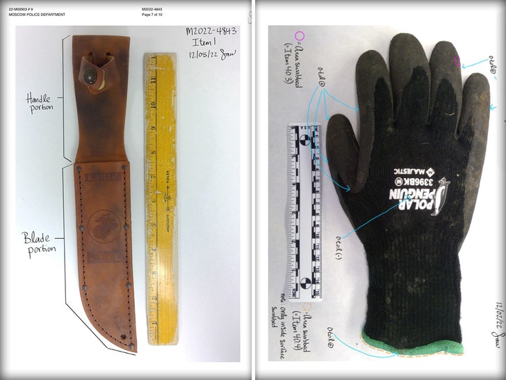 Newly Released Files Reveal Key Forensic Details in Idaho 4 Case