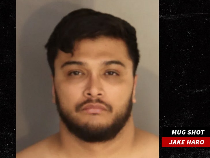 jake haro mug shot The San Bernardino County Sheriff’s Department 1