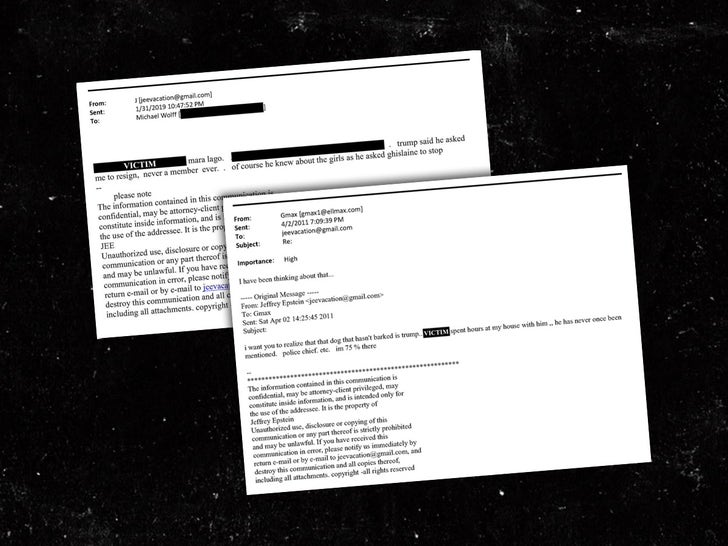 Jeffrey Epstein's Emails Mentioning Trump