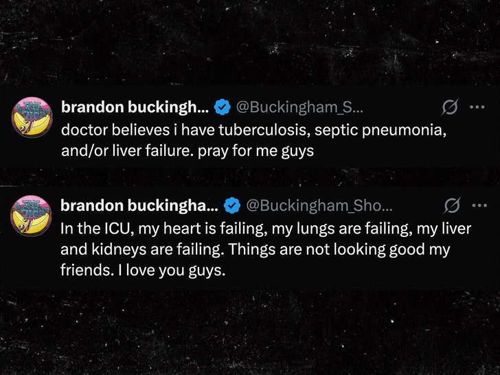 brandon buckingham tweets sub x