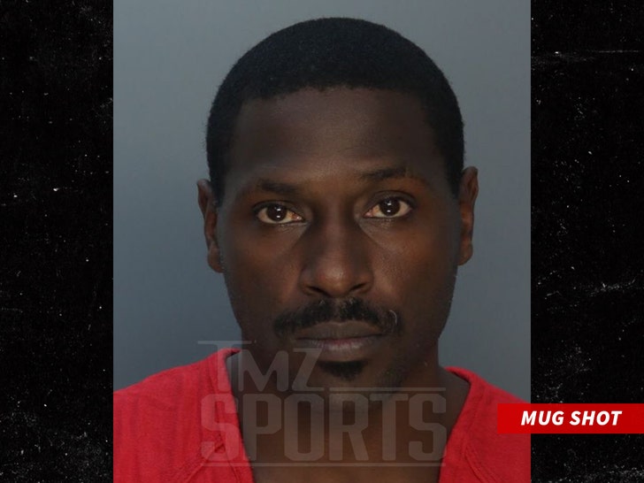 antonio-brown-mug-shot-miami-dade-1