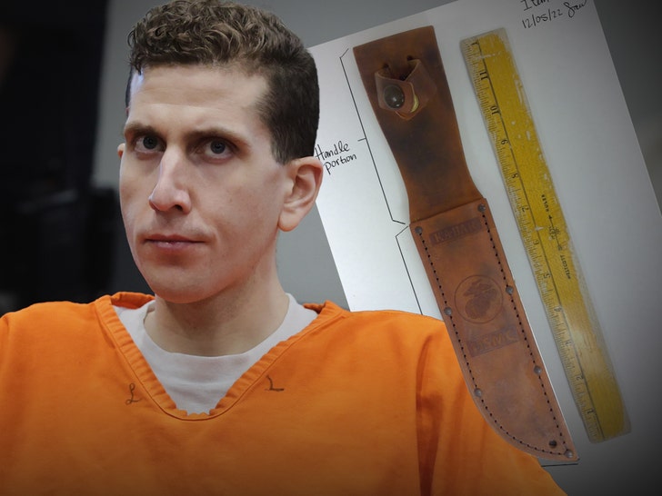 bryan kohberger weapons getty handout 1