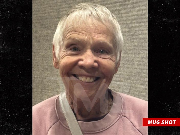 wanda barzee mug shot sub swipe