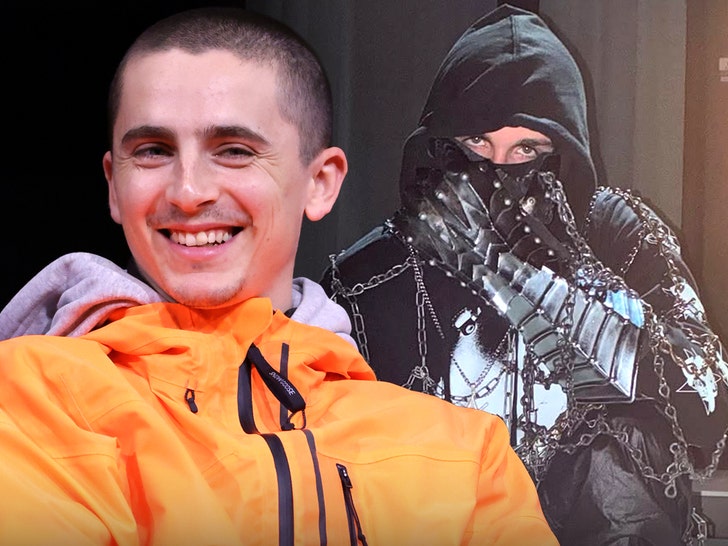 timothee chalamet esdeekid main getty instagram