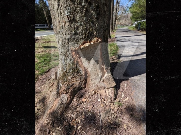 Karen Huger car accident