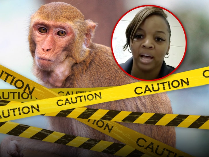 Escaped Mississippi Monkeys jessica bond ferguson getty tmz 1