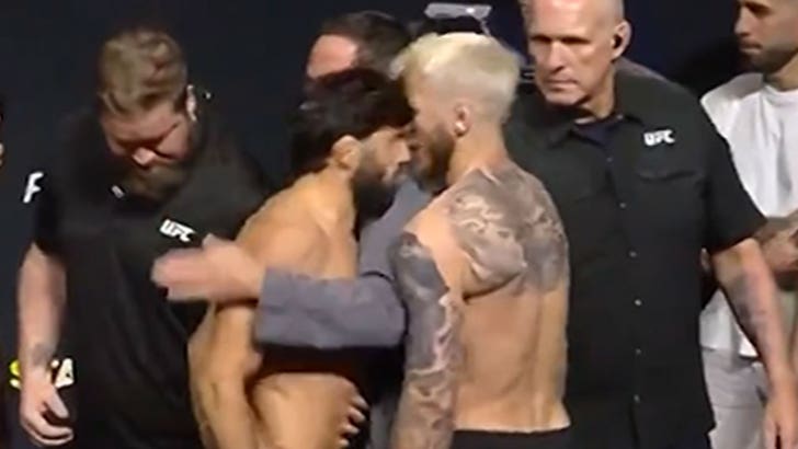 112125_arman_dan_ufc_kal_v2