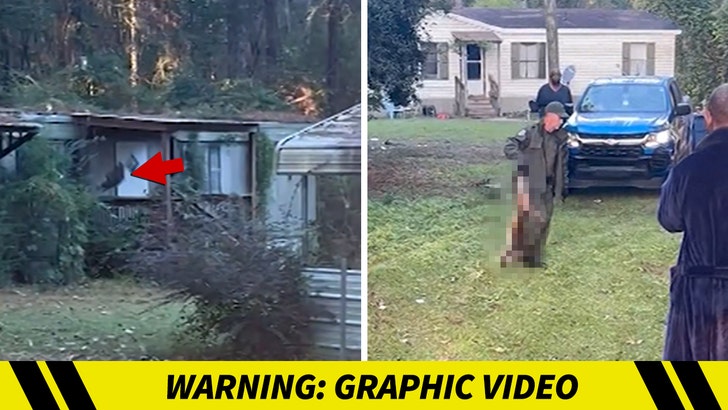 monkey-shot-kal-11-04-2025