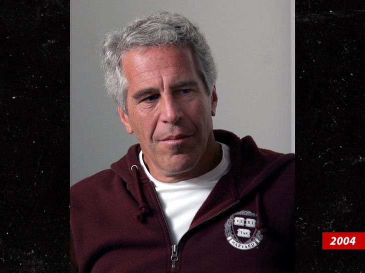 jeffrey epstein sub getty swipe 2