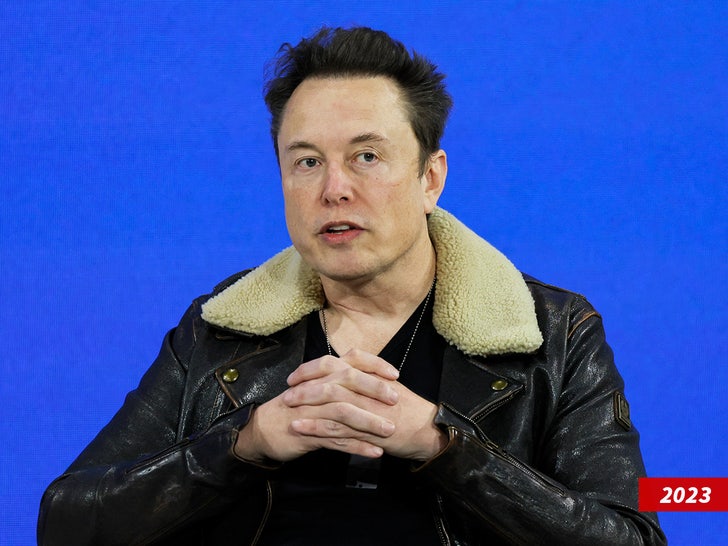 elon musk sub getty swipe