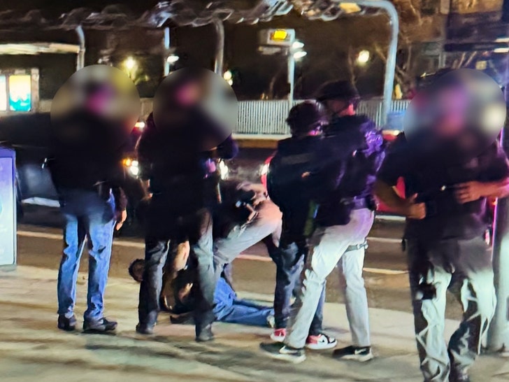 reiner arrested instagram 3