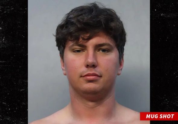 Vladimir Demidovich mug shot Miami-Dade County